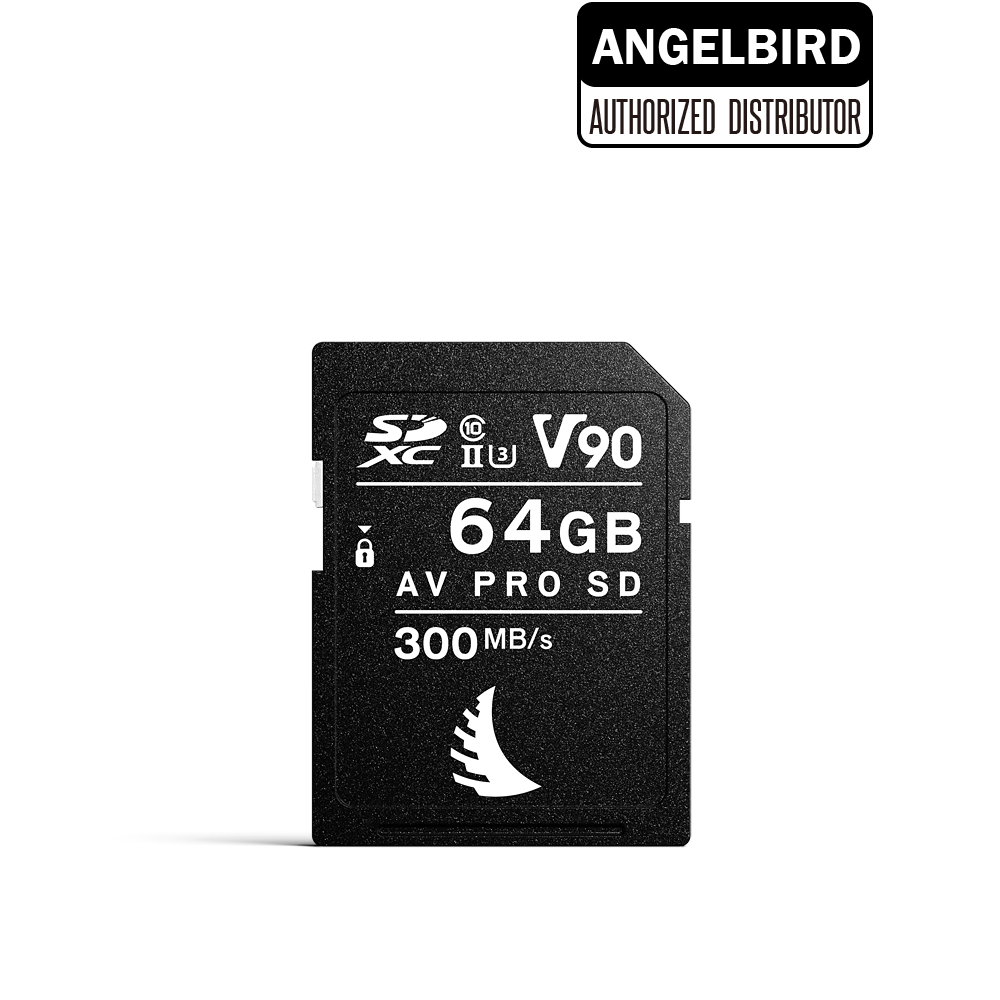 엔젤버드 Angelbird AV PRO SD MK2 V90 64 GB
