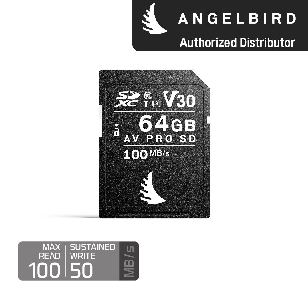 엔젤버드 AV PRO SD V30 64 GB